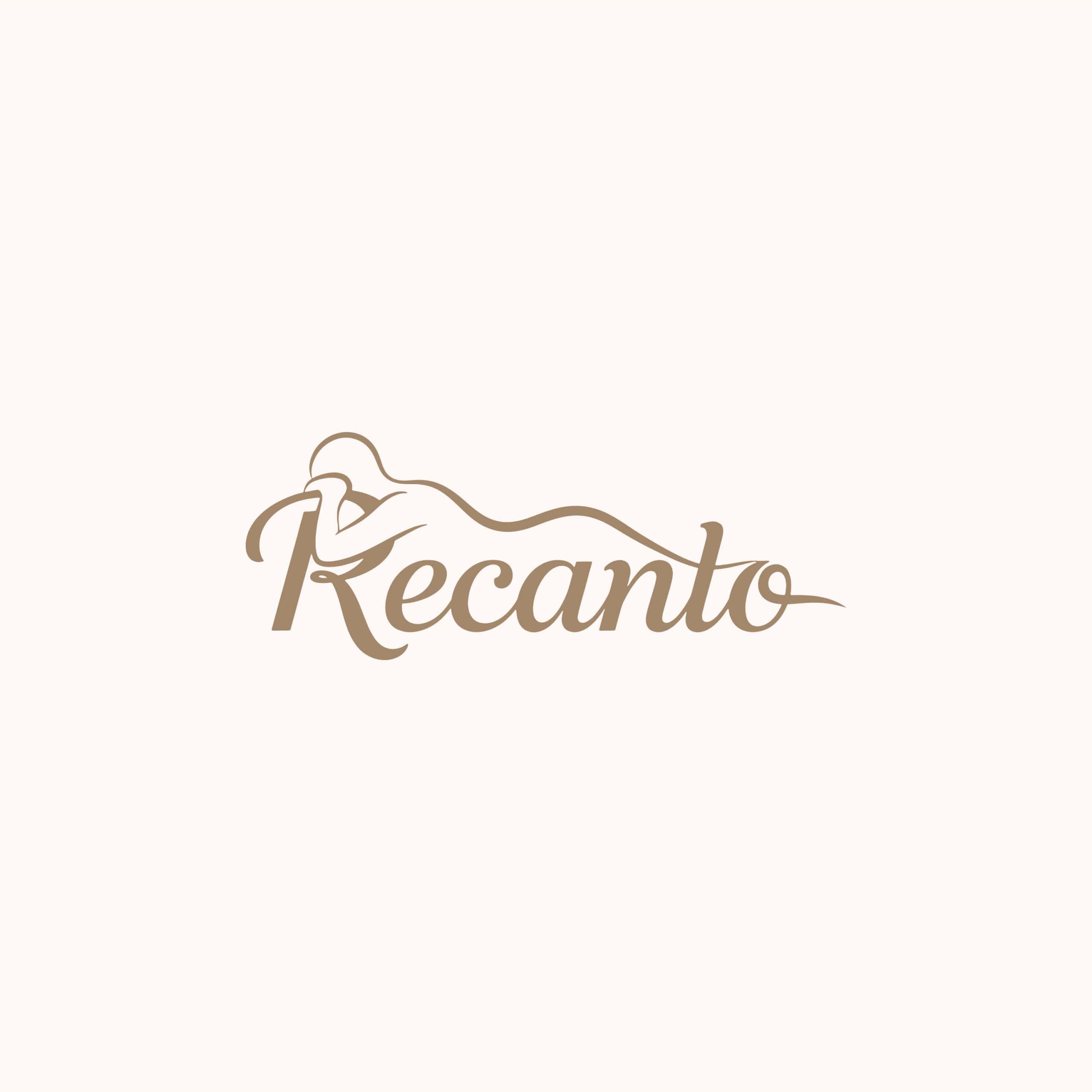 Custom logo design project for a client